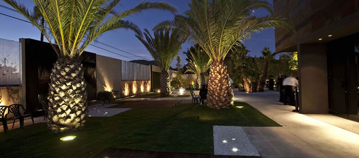 LED for Outdoor Decoration